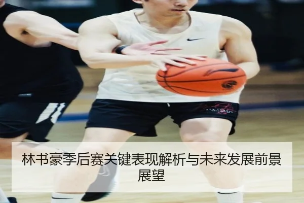 林书豪季后赛关键表现解析与未来发展前景展望